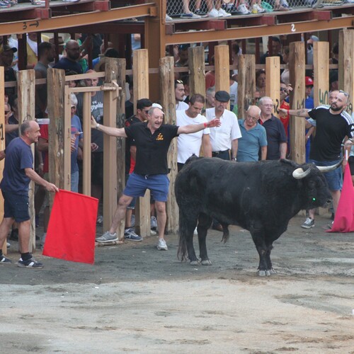 toros 16 agosto 2025 (63)